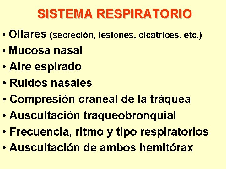 SISTEMA RESPIRATORIO • Ollares (secreción, lesiones, cicatrices, etc. ) • Mucosa nasal • Aire