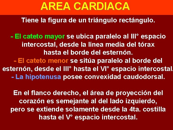 AREA CARDIACA Tiene la figura de un triángulo rectángulo. - El cateto mayor se