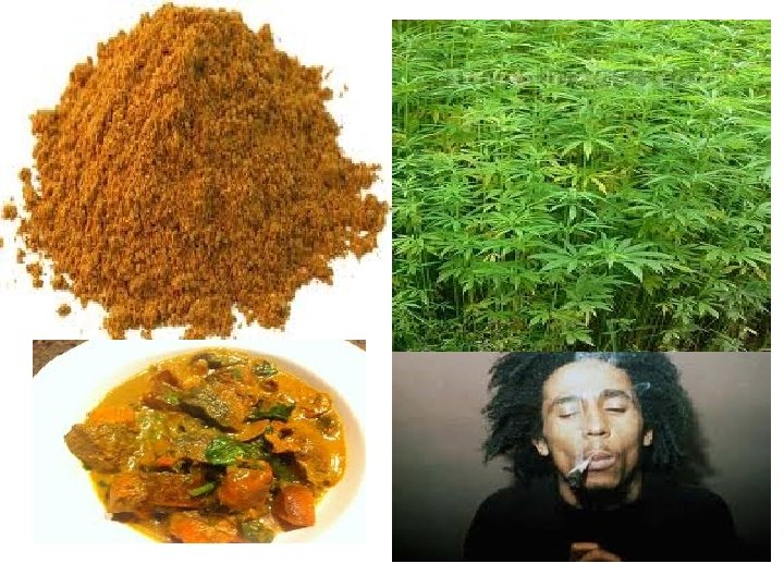 Coming to the Caribbean • Many Indians came as indentured workers. As they came