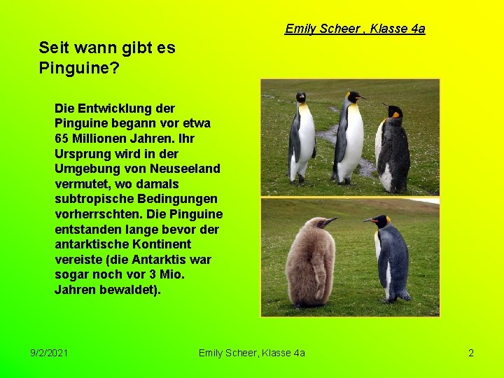 Emily Scheer , Klasse 4 a Seit wann gibt es Pinguine? Die Entwicklung der