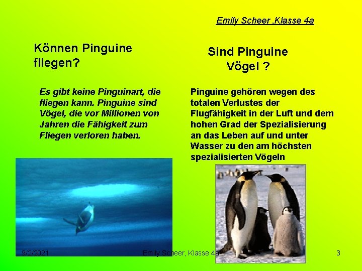 Emily Scheer , Klasse 4 a Können Pinguine fliegen? Sind Pinguine Vögel ? Es