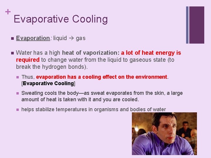 + Evaporative Cooling n Evaporation: liquid gas n Water has a high heat of