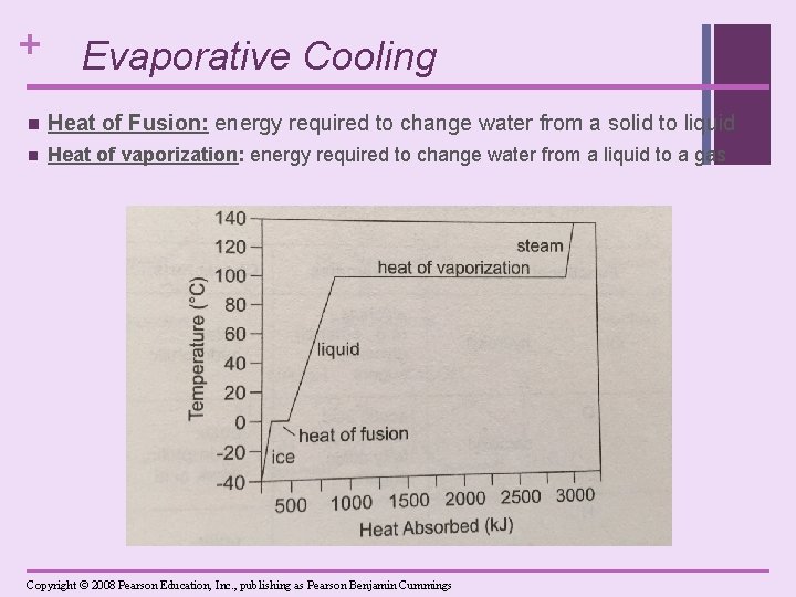 + Evaporative Cooling n Heat of Fusion: energy required to change water from a