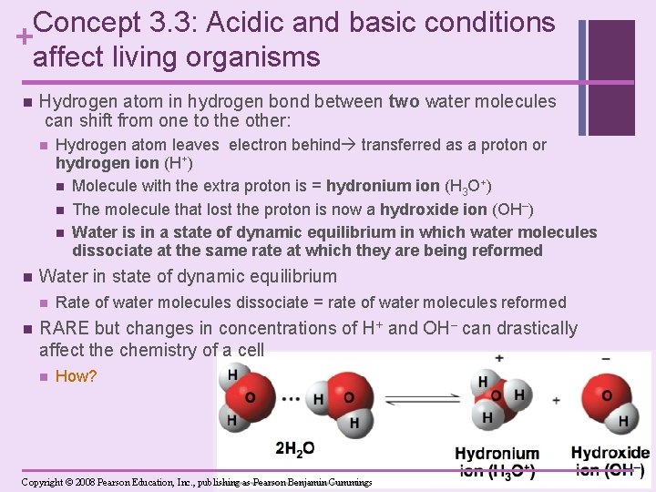 Concept 3. 3: Acidic and basic conditions + affect living organisms n Hydrogen atom