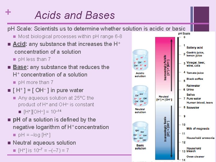 + Acids and Bases p. H Scale: Scientists us to determine whether solution is