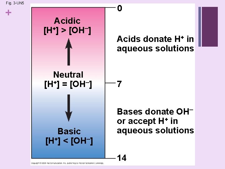 Fig. 3 -UN 5 + 0 Acidic [H+] > [OH–] Neutral [H+] = [OH–]