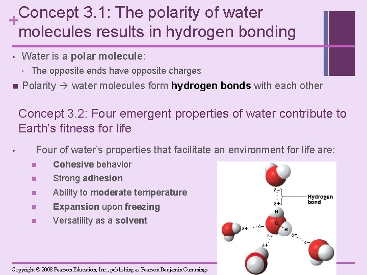 Concept 3. 1: The polarity of water + molecules results in hydrogen bonding Water