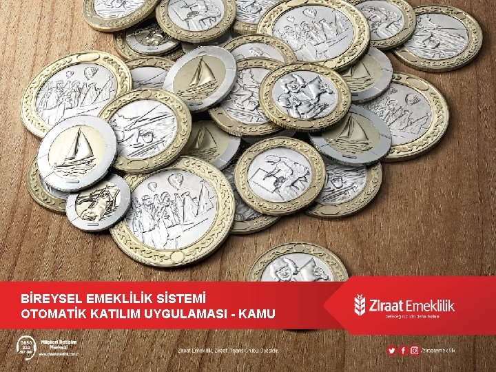 BİREYSEL EMEKLİLİK SİSTEMİ OTOMATİK KATILIM UYGULAMASI - KAMU 