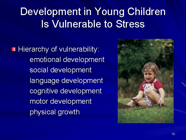 Development in Young Children Is Vulnerable to Stress Hierarchy of vulnerability: emotional development social