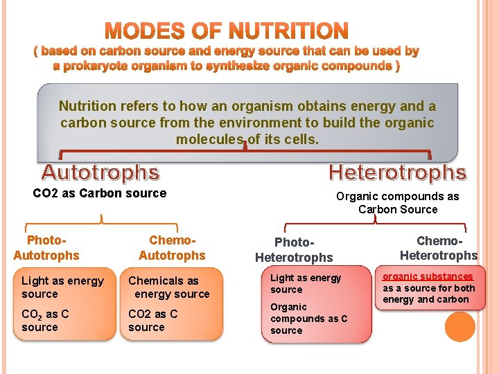 Nutrition refers to how an organism obtains energy and a carbon source from the Nutrition refers to how an organism obtains energy and a carbon source from the