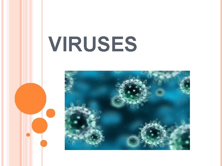 VIRUSES 