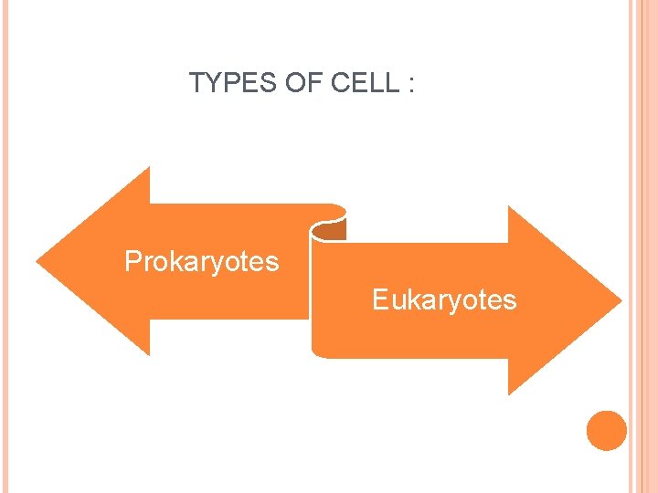 TYPES OF CELL : Prokaryotes Eukaryotes 