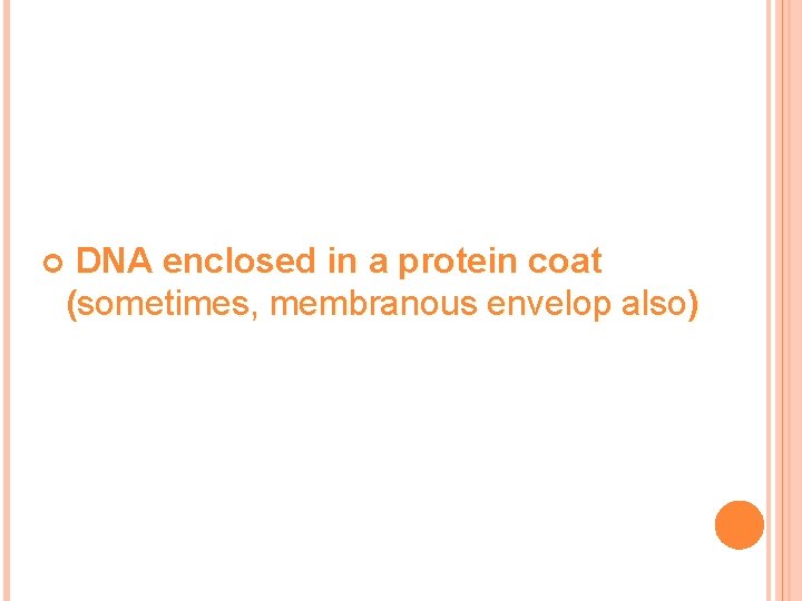 DNA enclosed in a protein coat (sometimes, membranous envelop also) DNA enclosed in a protein coat (sometimes, membranous envelop also)