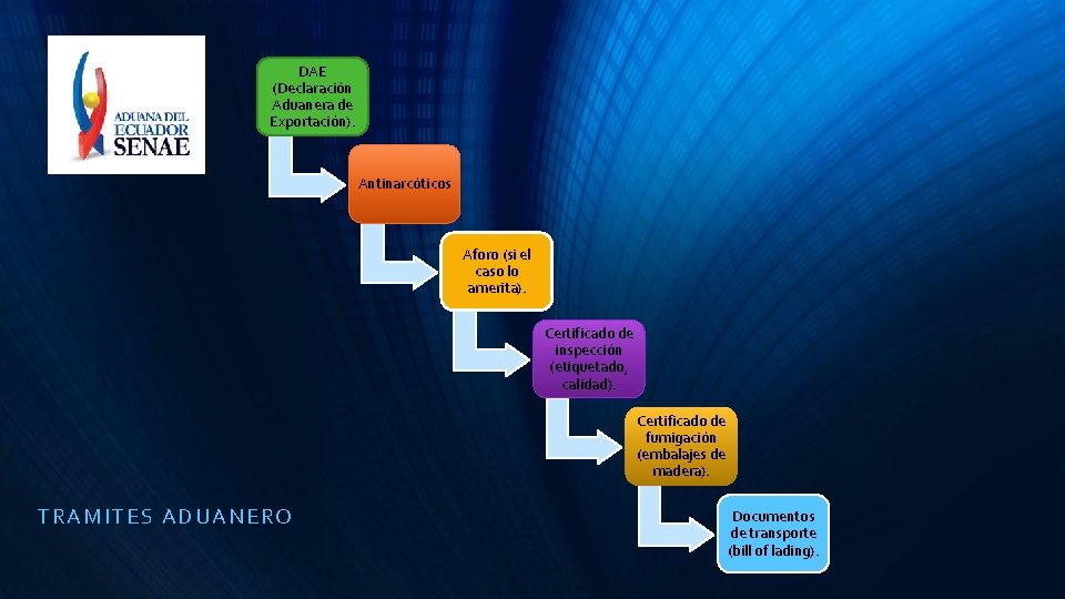 DAE (Declaración Aduanera de Exportación). Antinarcóticos Aforo (si el caso lo amerita). Certificado de