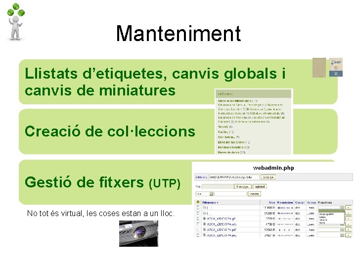 Manteniment Llistats d’etiquetes, canvis globals i canvis de miniatures Creació de col·leccions Gestió de