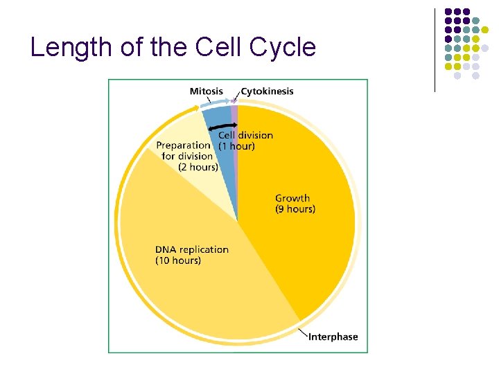 Cell Division An informative presentation by your wacky