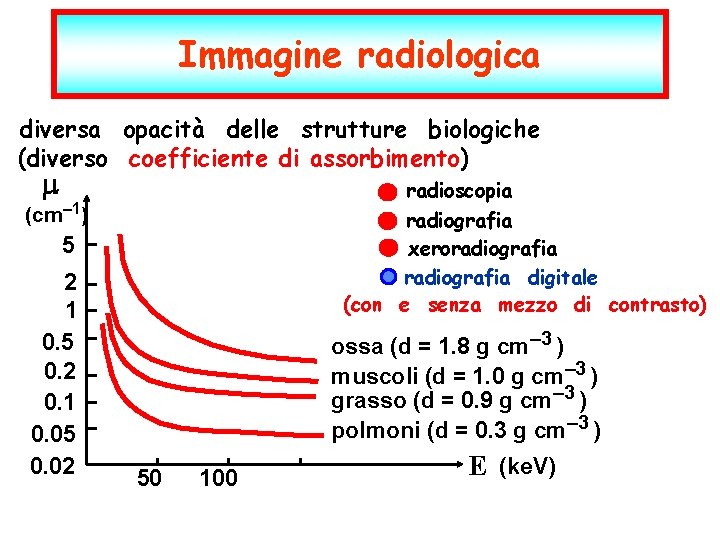 Immagine radiologica diversa opacità delle strutture biologiche (diverso coefficiente di assorbimento) m radioscopia radiografia