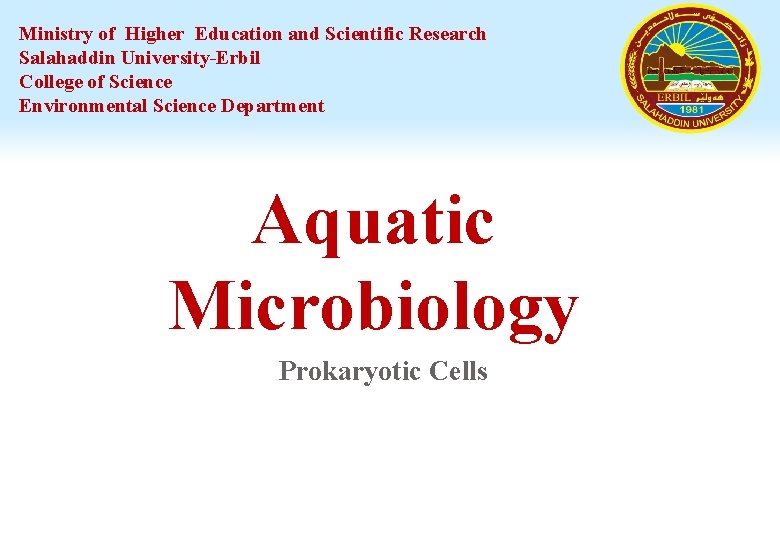 Ministry of Higher Education and Scientific Research Salahaddin University-Erbil College of Science Environmental Science