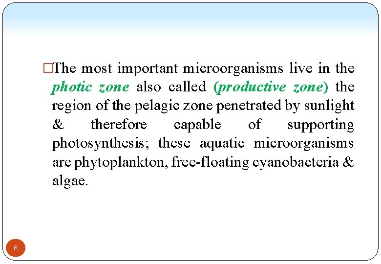 �The most important microorganisms live in the photic zone also called (productive zone) the