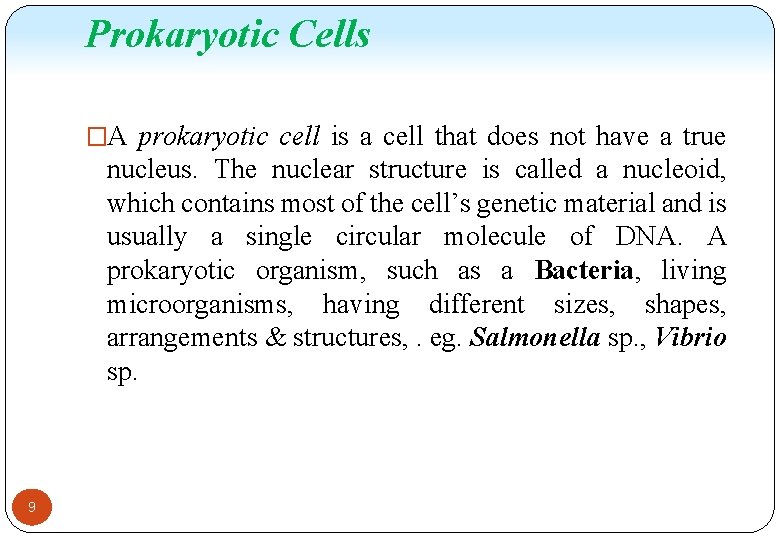 Prokaryotic Cells �A prokaryotic cell is a cell that does not have a true