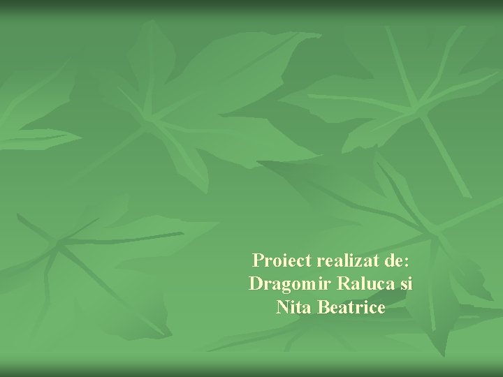 Proiect realizat de: Dragomir Raluca si Nita Beatrice 