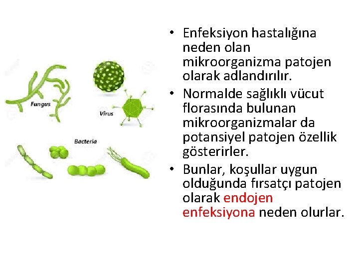  • Enfeksiyon hastalığına neden olan mikroorganizma patojen olarak adlandırılır. • Normalde sağlıklı vücut