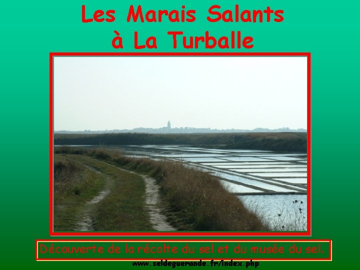 Les Marais Salants à La Turballe Découverte de la récolte du sel et du