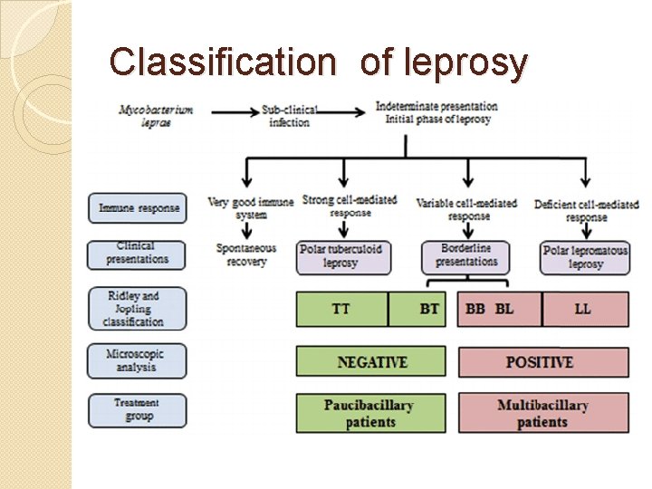 Classification of leprosy 