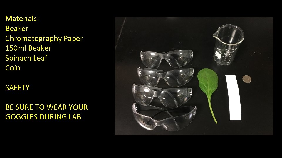 Materials: Beaker Chromatography Paper 150 ml Beaker Spinach Leaf Coin SAFETY BE SURE TO