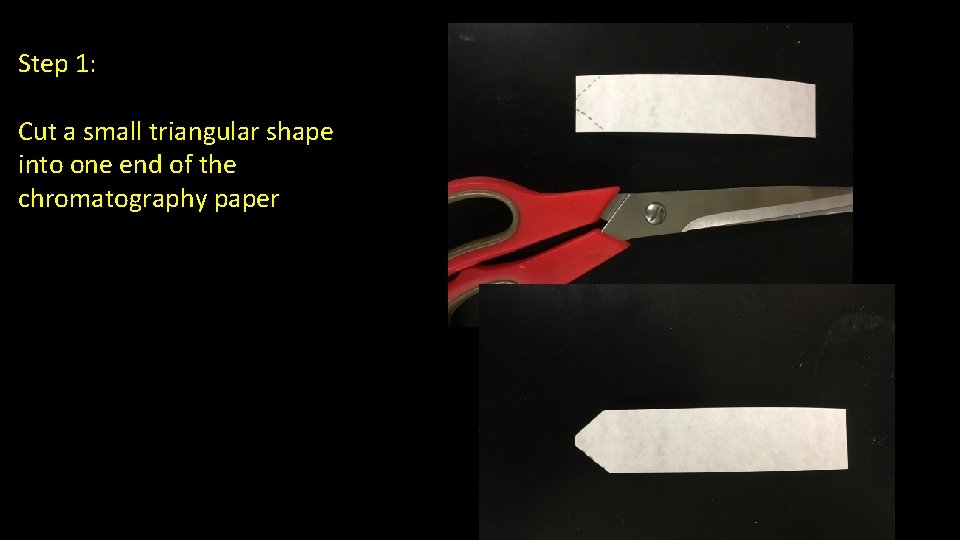 Step 1: Cut a small triangular shape into one end of the chromatography paper