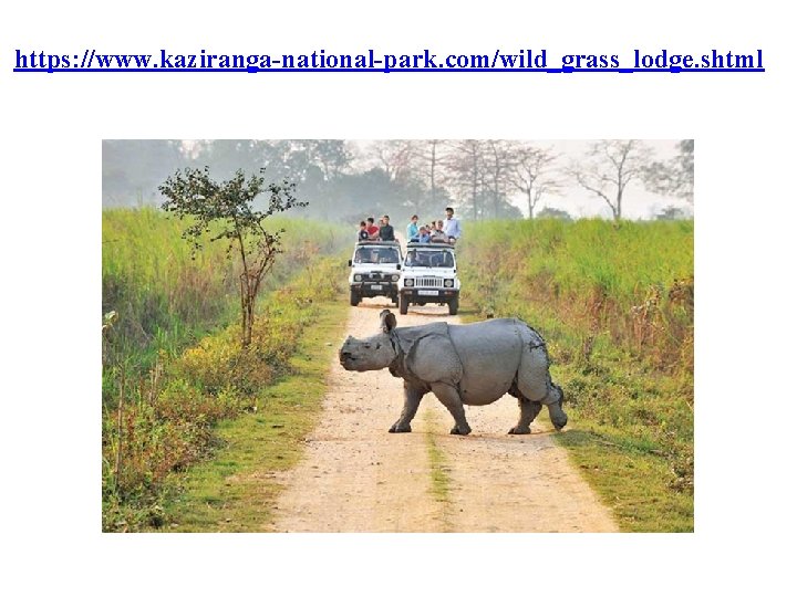 https: //www. kaziranga-national-park. com/wild_grass_lodge. shtml 