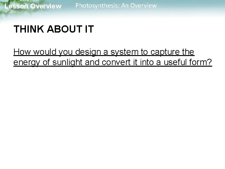 Lesson Overview Photosynthesis: An Overview THINK ABOUT IT How would you design a system
