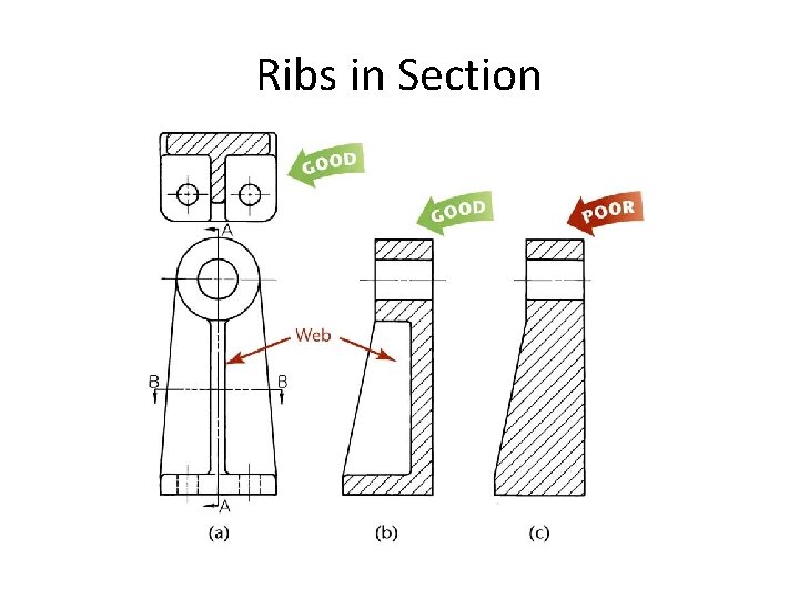 Ribs in Section 