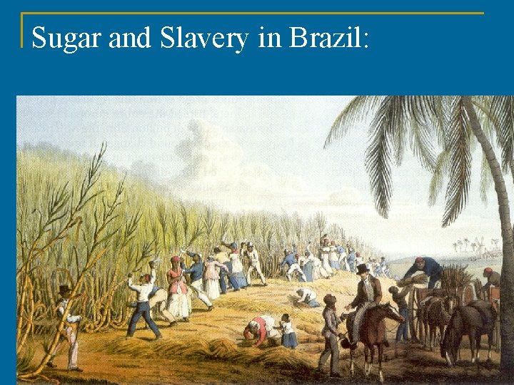 Sugar and Slavery in Brazil: 24 Copyright © 2007 The Mc. Graw-Hill Companies Inc.