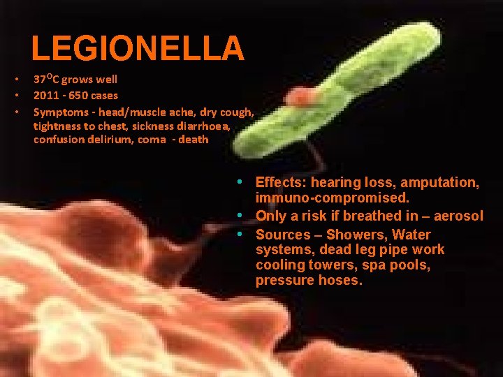 LEGIONELLA • • • 37 OC grows well 2011 - 650 cases Symptoms -