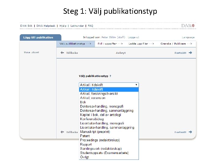 Steg 1: Välj publikationstyp 