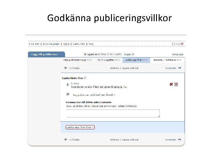 Godkänna publiceringsvillkor 