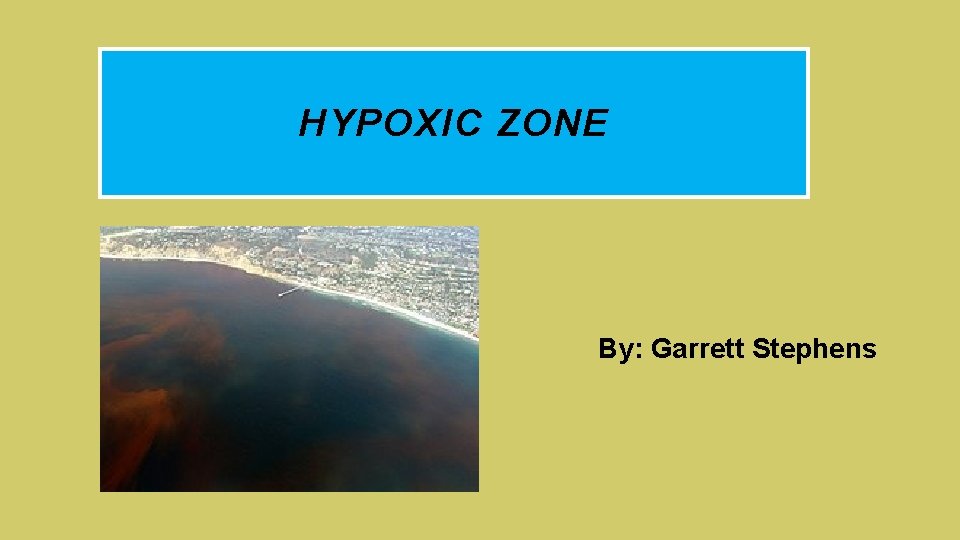 HYPOXIC ZONE By: Garrett Stephens 