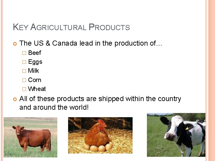 KEY AGRICULTURAL PRODUCTS The US & Canada lead in the production of… � Beef
