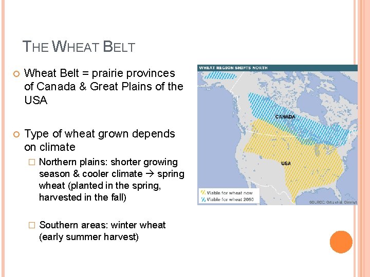 THE WHEAT BELT Wheat Belt = prairie provinces of Canada & Great Plains of