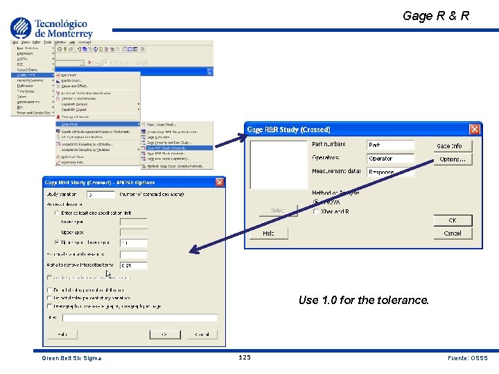 Gage R & R Use 1. 0 for the tolerance. Green Belt Six Sigma