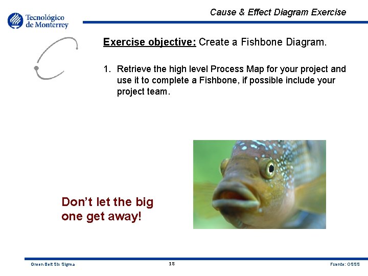 Cause & Effect Diagram Exercise objective: Create a Fishbone Diagram. 1. Retrieve the high