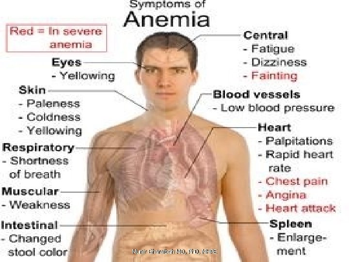 March 17 Munir Gharaibeh MD, Ph. D, MHPE 3 