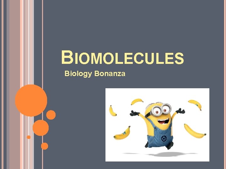 BIOMOLECULES Biology Bonanza 