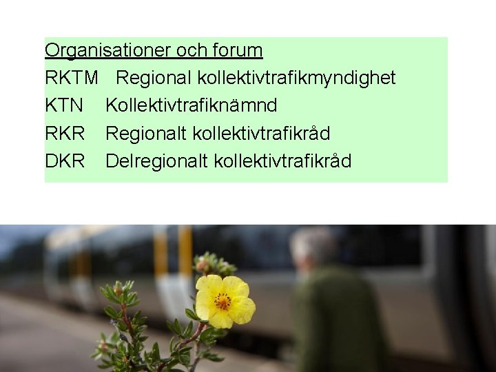 Organisationer och forum RKTM Regional kollektivtrafikmyndighet KTN Kollektivtrafiknämnd RKR Regionalt kollektivtrafikråd DKR Delregionalt kollektivtrafikråd