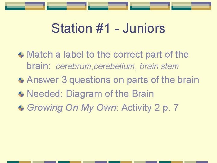 Station #1 - Juniors Match a label to the correct part of the brain: