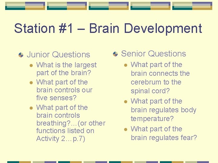 Station #1 – Brain Development Junior Questions l l l What is the largest