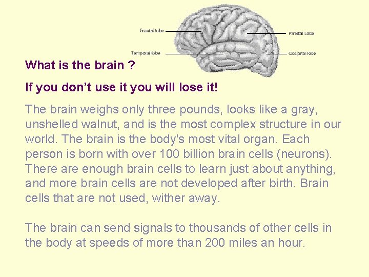 What is the brain ? If you don’t use it you will lose it!