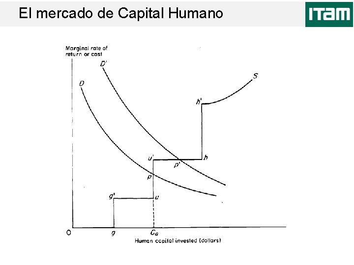 El mercado de Capital Humano 