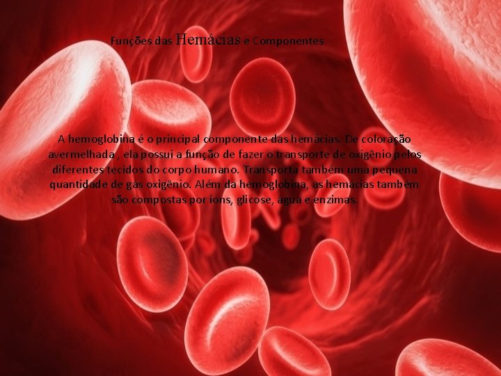 Funções das Hemácias e Componentes A hemoglobina é o principal componente das hemácias. De